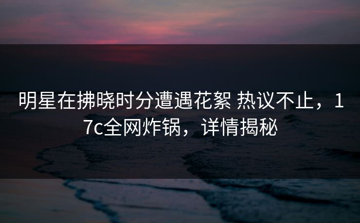 明星在拂晓时分遭遇花絮 热议不止，17c全网炸锅，详情揭秘